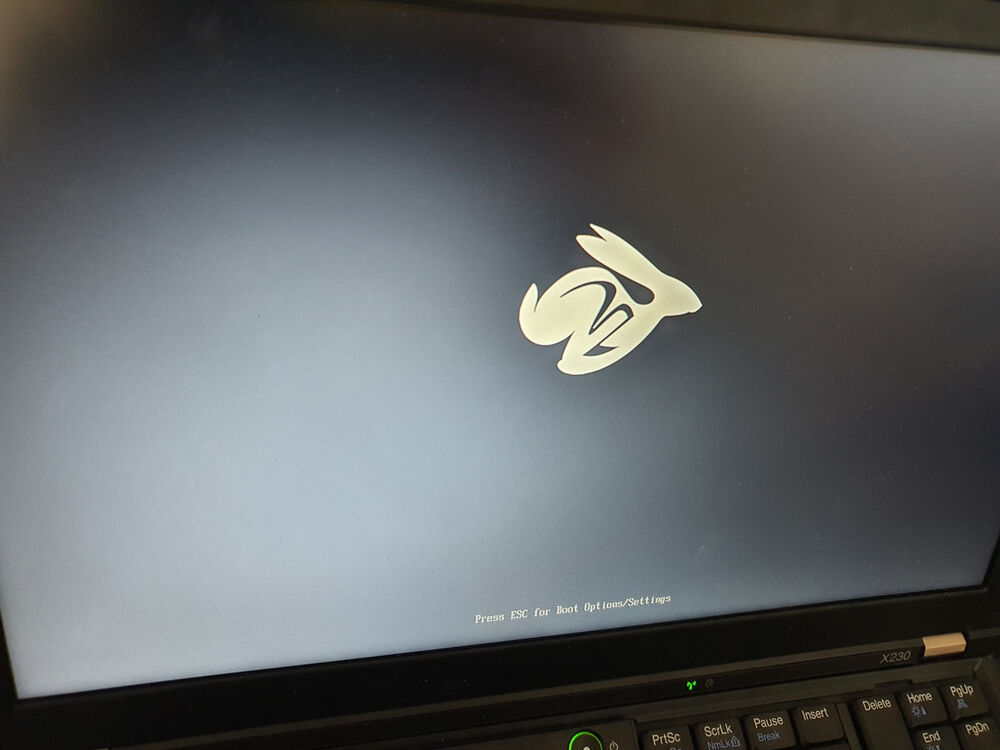 Default TianoCore coreboot logo splash on my ThinkPad X230